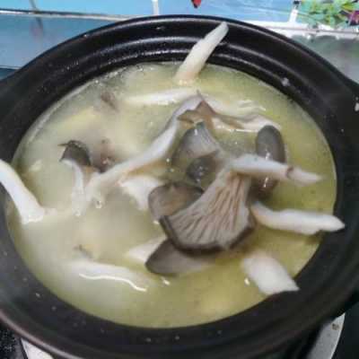 黑鱼菌菇炖汤的做法大全集的简单介绍