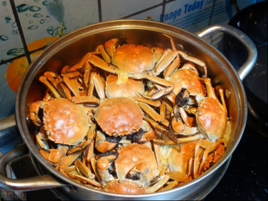 大杂蟹炖汤（大杂蟹要蒸多少时间）