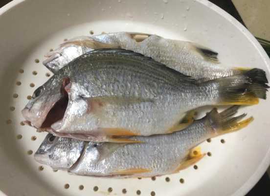 海鱼炖汤要不要腌制的简单介绍