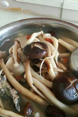 山菌炖汤（山蘑菇菌汤的家常做法）