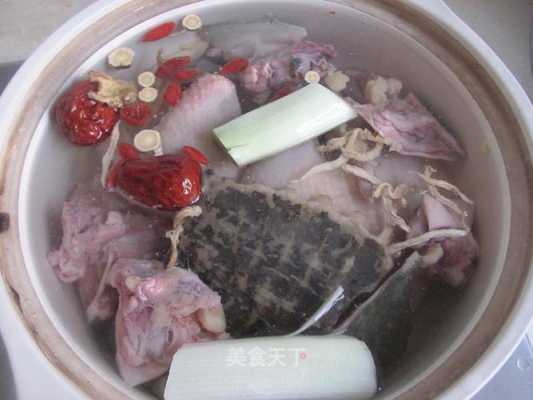 乌龟和鸡炖汤的做法（乌龟和鸡炖汤的做法窍门）