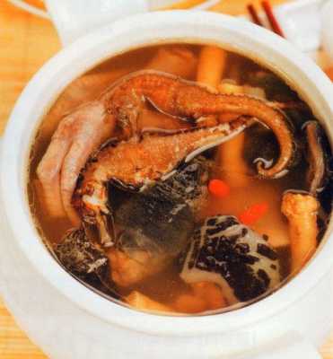 海马甲鱼炖汤的做法（海马甲鱼炖汤的做法窍门）