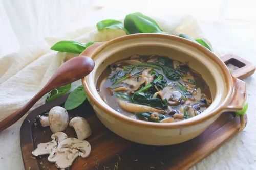 肉蘑菇菠菜炖汤（蘑菇菠菜汤怎么做好吃）
