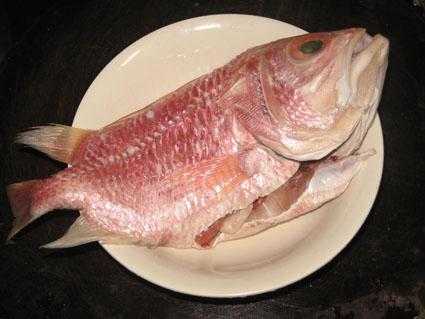 红鲷鱼炖汤（红鲷鱼怎么烧）