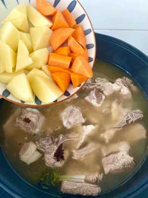 胡萝卜和土豆炖汤做法大全（胡萝卜土豆一起炖）