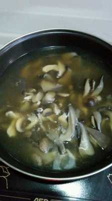鲜蘑炖汤的做法大全（鲜蘑菇汤怎么做好吃）