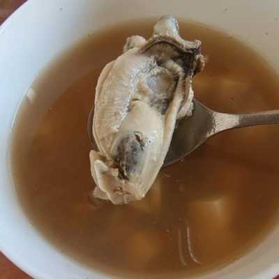 牡蛎炖汤怎么做好吃（牡蛎炖汤怎么做好吃又营养）