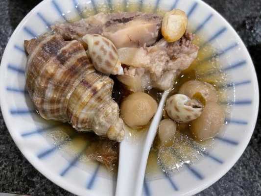 海螺蛸炖汤（海螺肉煲汤大全）