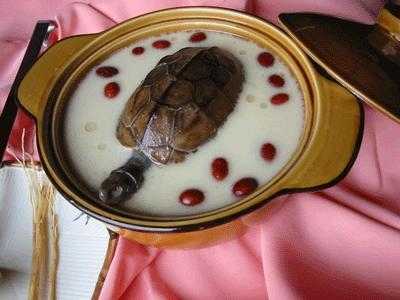 梦到乌龟炖汤（梦到乌龟炖汤了）