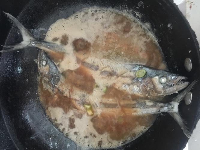 海燕鱼炖汤做法（海燕鱼怎么做好吃）