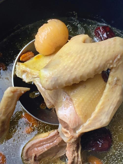鸽子肉炖汤怎样好吃（鸽子肉怎么熬汤熬汤的好处是什么）