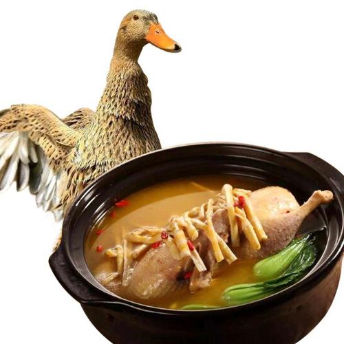 麻鸭炖汤的广东做法（正宗广东麻鸭煲汤的做法）