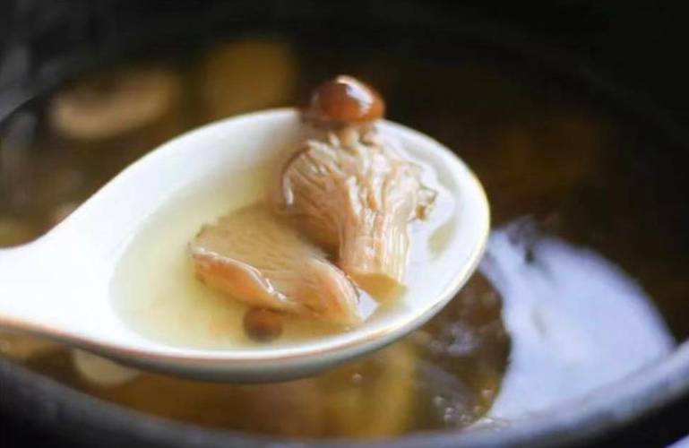 关于白玉菇能与鸽子一起炖汤吗的信息