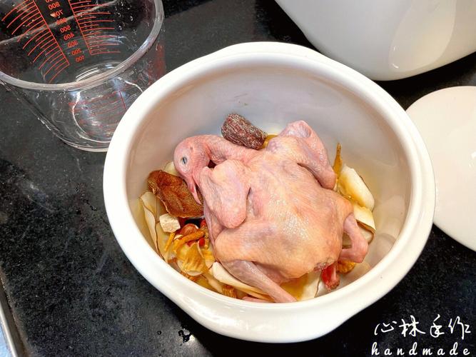 鸽子用什么菜炖汤营养好（鸽子放什么菜炖汤最好）