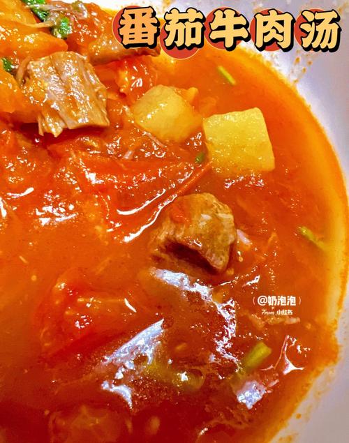 番茄牛肉炖汤的做法（番茄牛肉汤怎么炖）