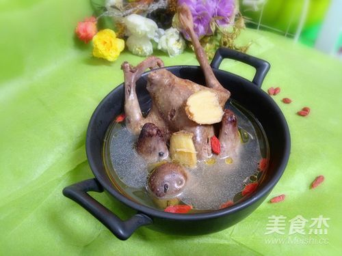 鸽子肉炖汤（鸽子肉炖汤怎么做好吃）