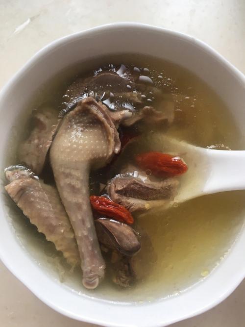 百合鸽子炖汤的做法（鸽子汤炖百合的作用）