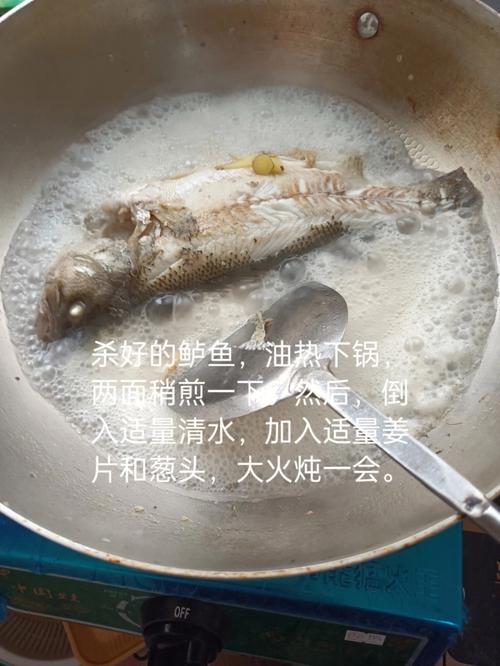 孕妇鲈鱼的做法炖汤（孕妇鲈鱼汤怎么做好吃）