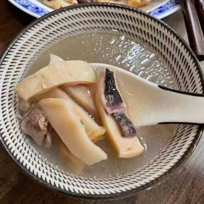 墨鱼甲鱼炖汤的做法（墨鱼和甲鱼）