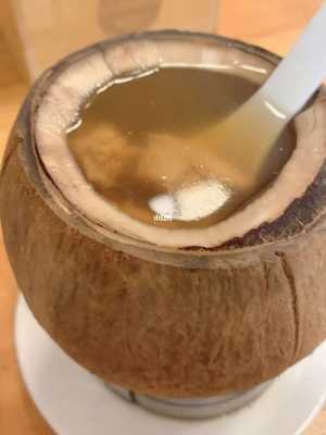 椰子水炖汤功效（椰子水炖汤的做法大全）